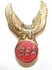Badge, lapel, BSA , eagle over BSA in red circle, gold Badge, lapel, BSA , eagle over BSA in red circle, gold